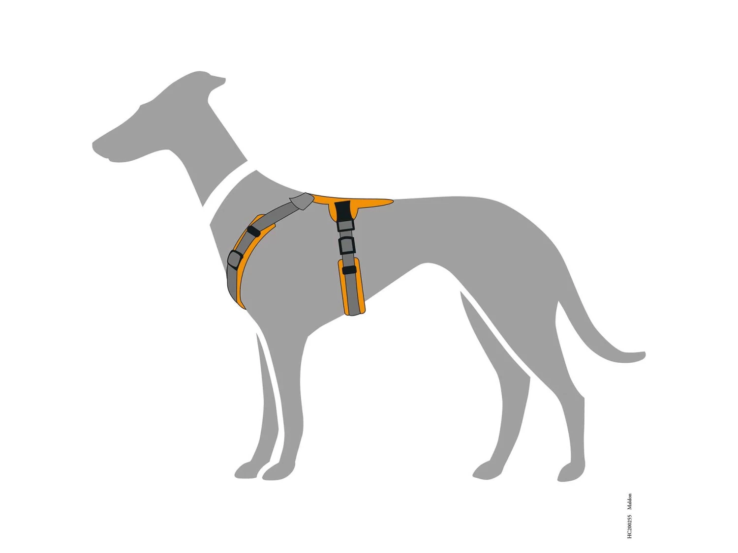 Hunter Hundegeschirr Maldon Orange/grau – Bild 6