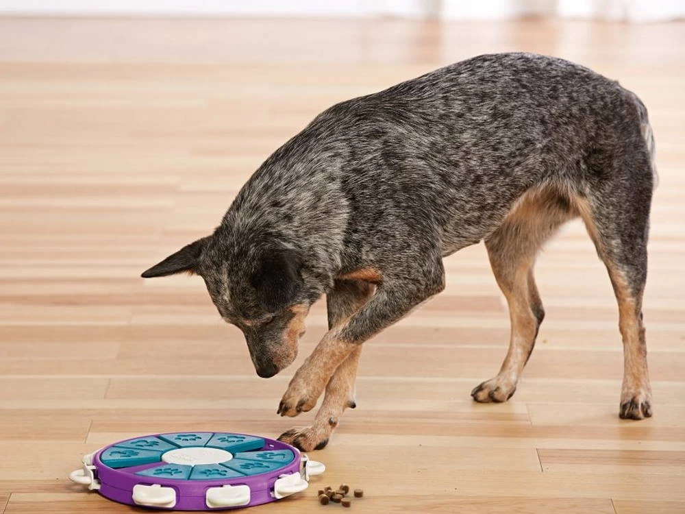 Nina Ottosson Hundespielzeug Level 3 Dog Twister – Bild 3