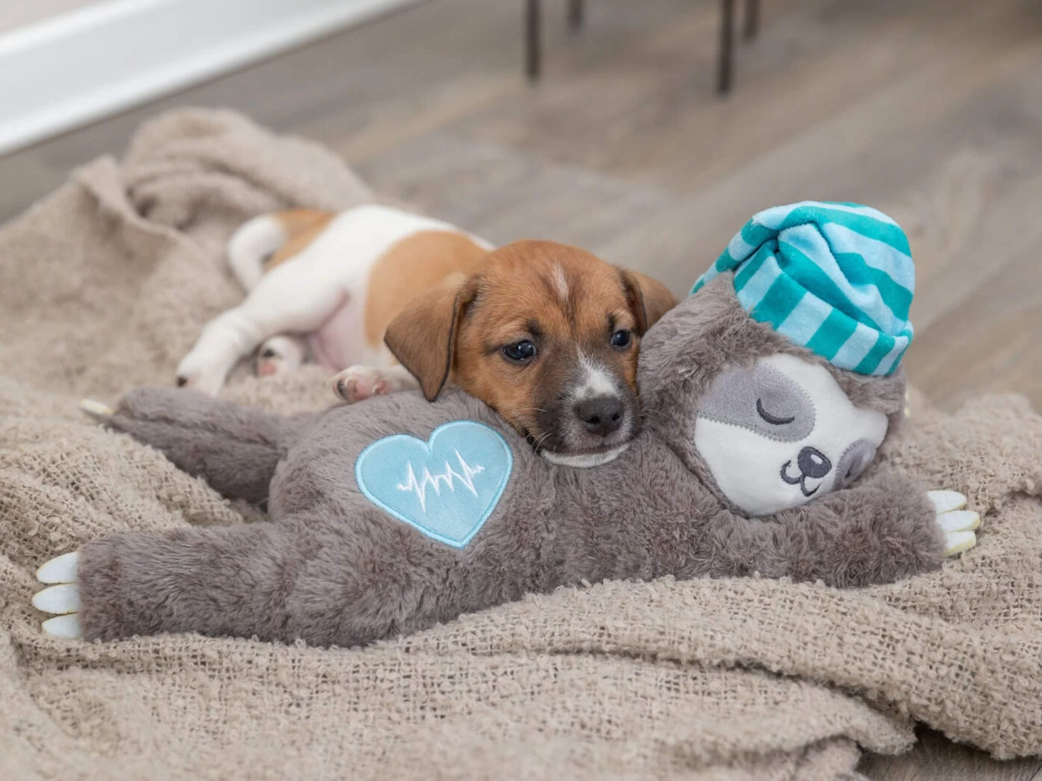 Trixie Junior Herzschlag Plüsch-Faultier Für Welpen – Bild 8