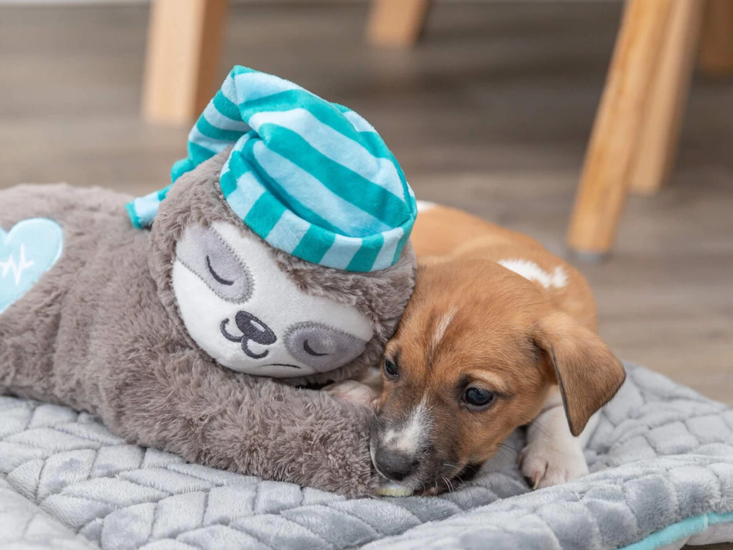 Trixie Junior Herzschlag Plüsch-Faultier Für Welpen – Bild 9