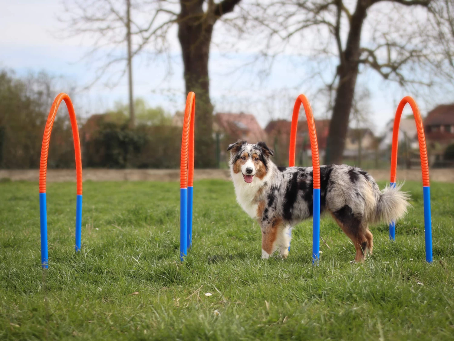 Hoopers Bogen Set Aus Kunststoff Mit Erdspießen – Bild 4