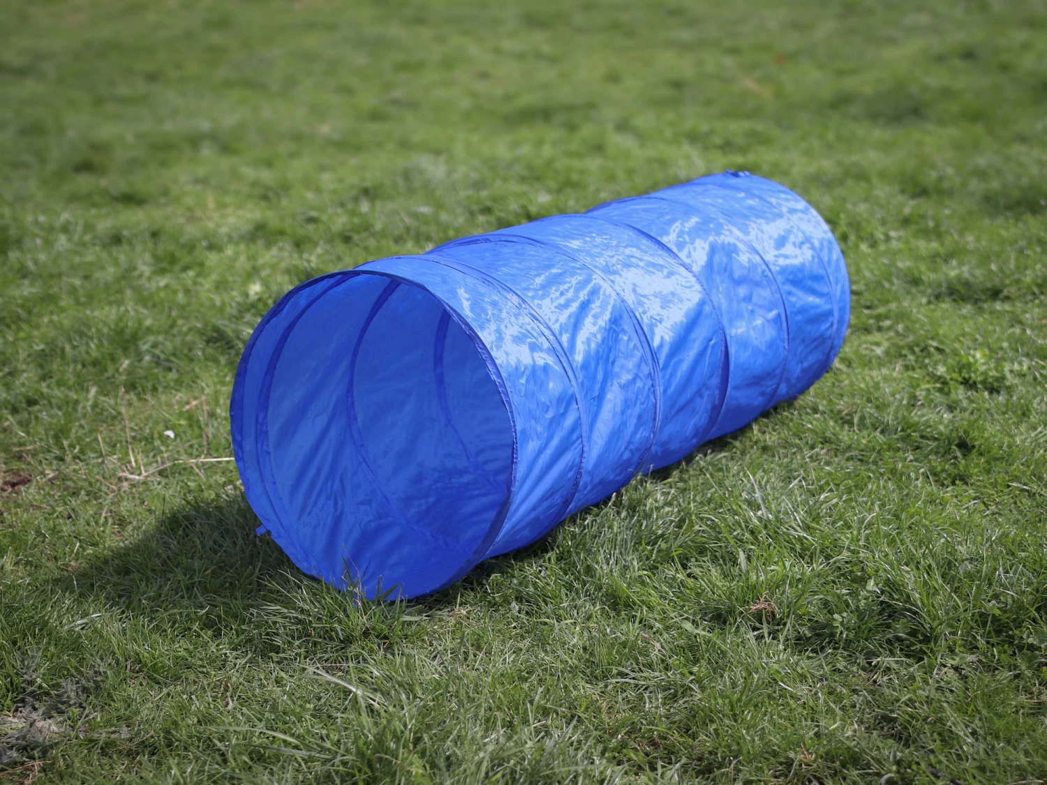 Agility Starter Set X – Bild 3