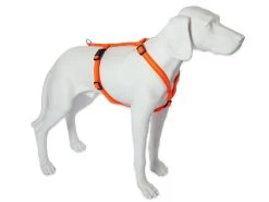 Feltmann Mantrailing Suchgeschirr Basic