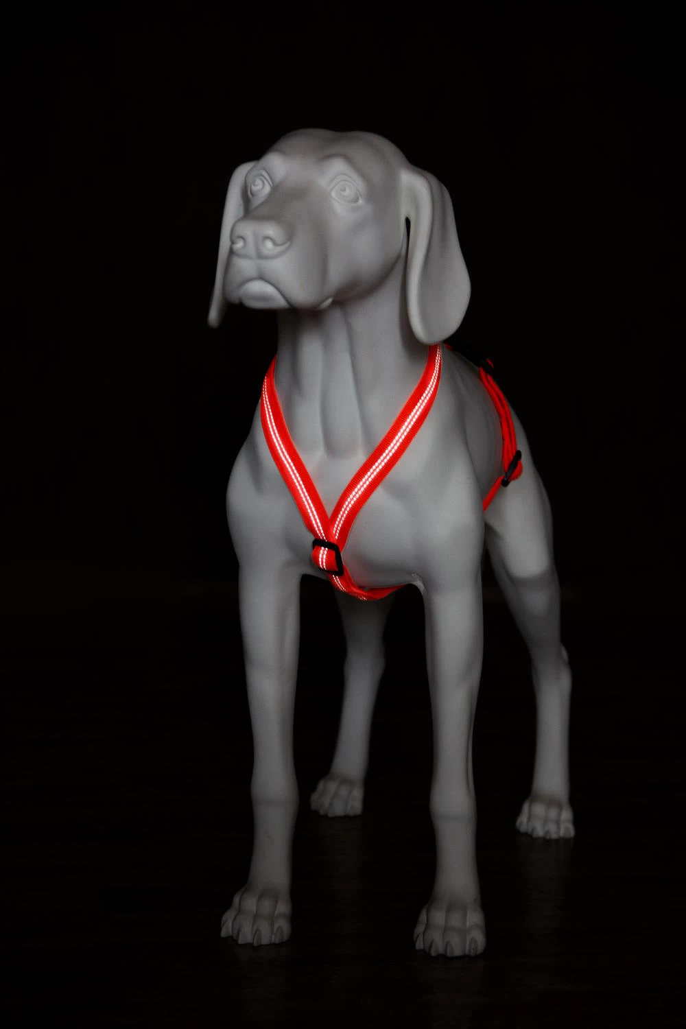 Feltmann Mantrailing Suchgeschirr Basic – Bild 3