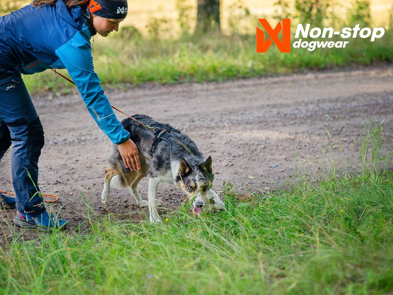 Non-Stop Dogwear Hundegeschirr Line Harness 5.0 Schwarz – Bild 7