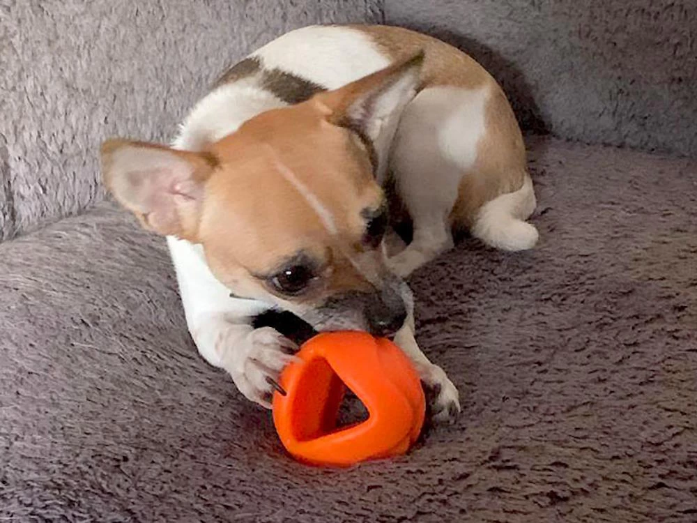 Moby Softbaits Soft Hundeball Ocean Blue – Bild 2