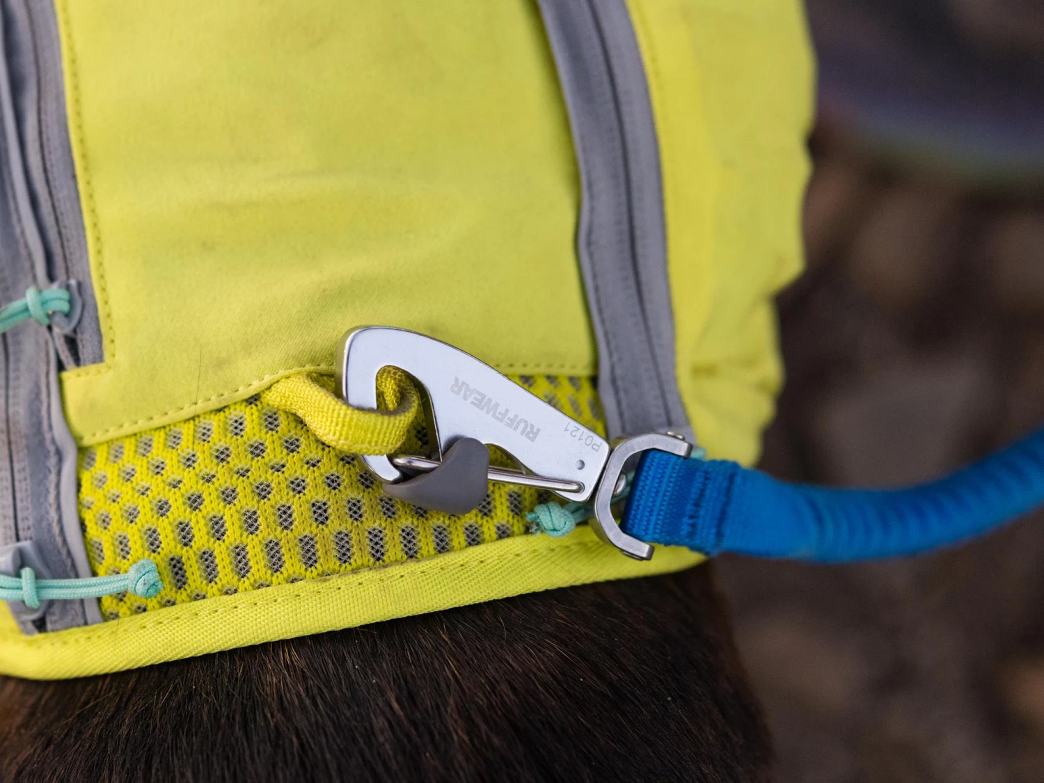 Ruffwear Trail Runner™ Dehnbare Hundeleine Blue Pool – Bild 5