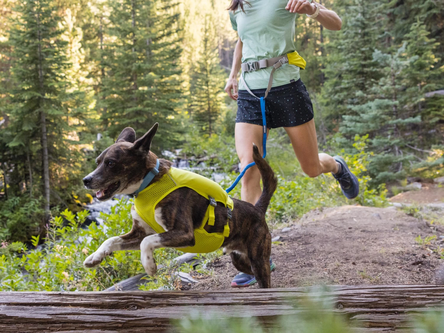 Ruffwear Trail Runner™ Dehnbare Hundeleine Blue Pool – Bild 7