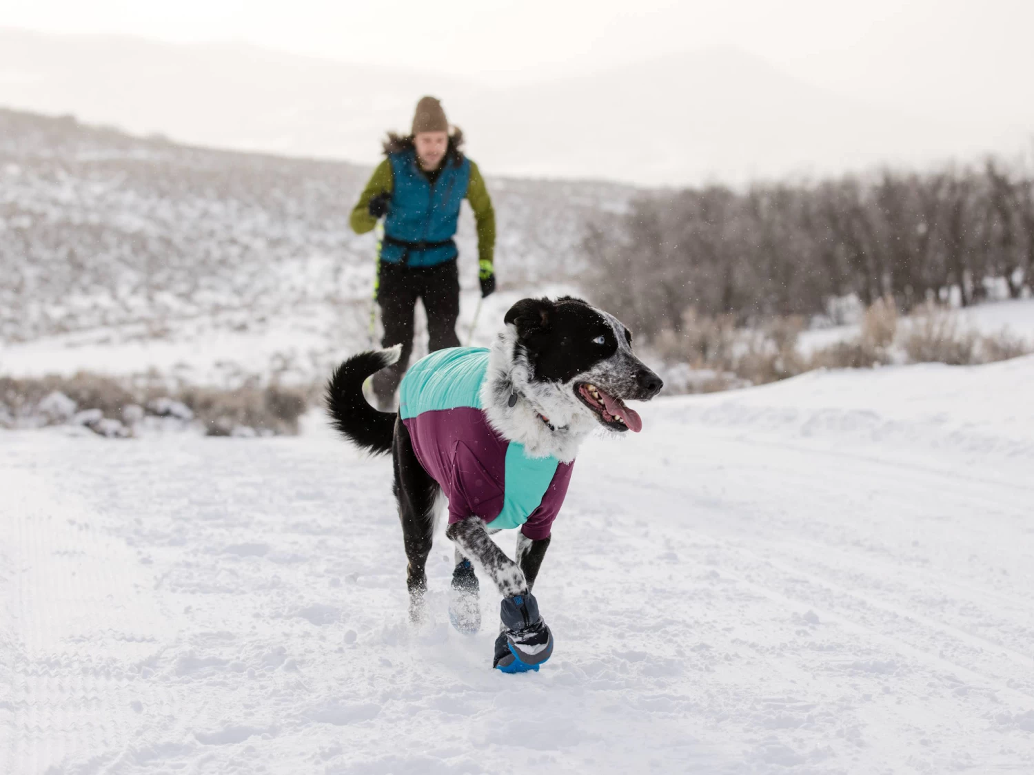 Ruffwear Powder Hound™ Winterjacke Für Hunde Aurora Teal – Bild 4