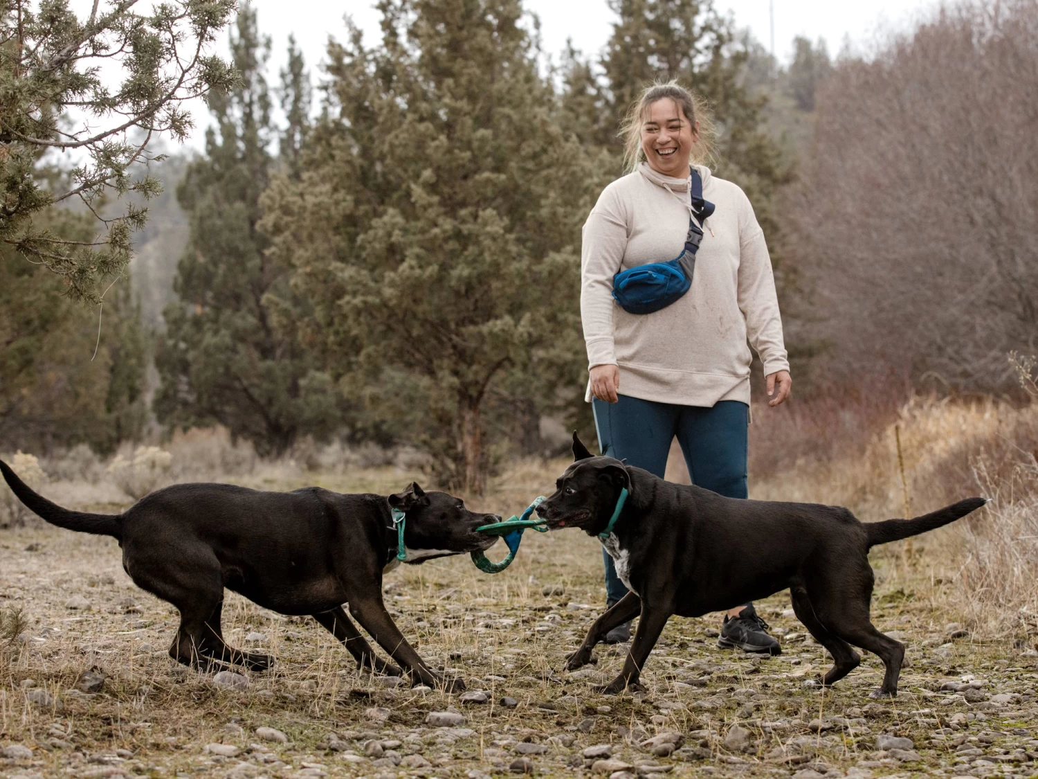 Ruffwear Pacific Ring™ Hundespielzeug – Bild 6