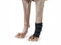 Back On Track Hundegelenkschoner