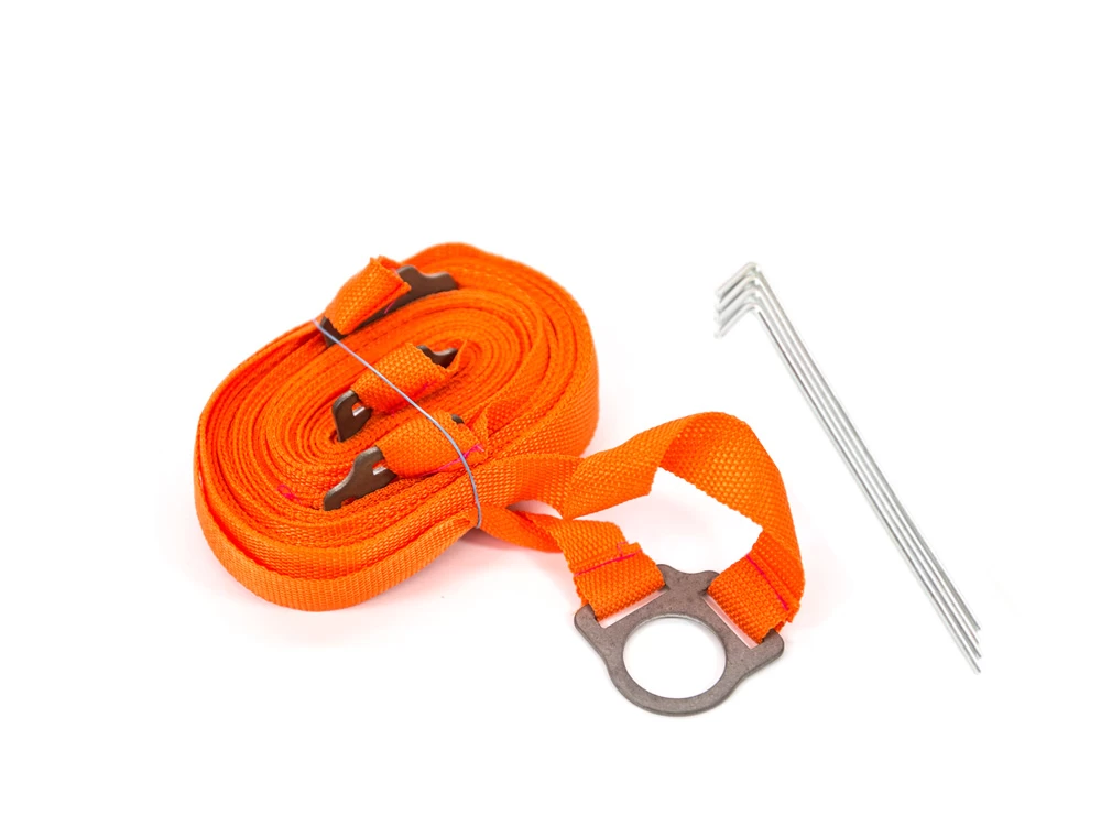 Obedience Boxband Orange – Bild 2