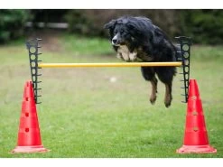 Dog Agility Pylonenhürde Höhenverstellbar Rot