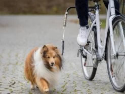 Trixie Biker Set Fahrradhalter FĂĽr Hunde
