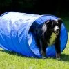 Dog Agility Tunnel 152 Cm X 60 Cm Blau