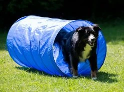 Dog Agility Tunnel 152 Cm X 60 Cm Blau