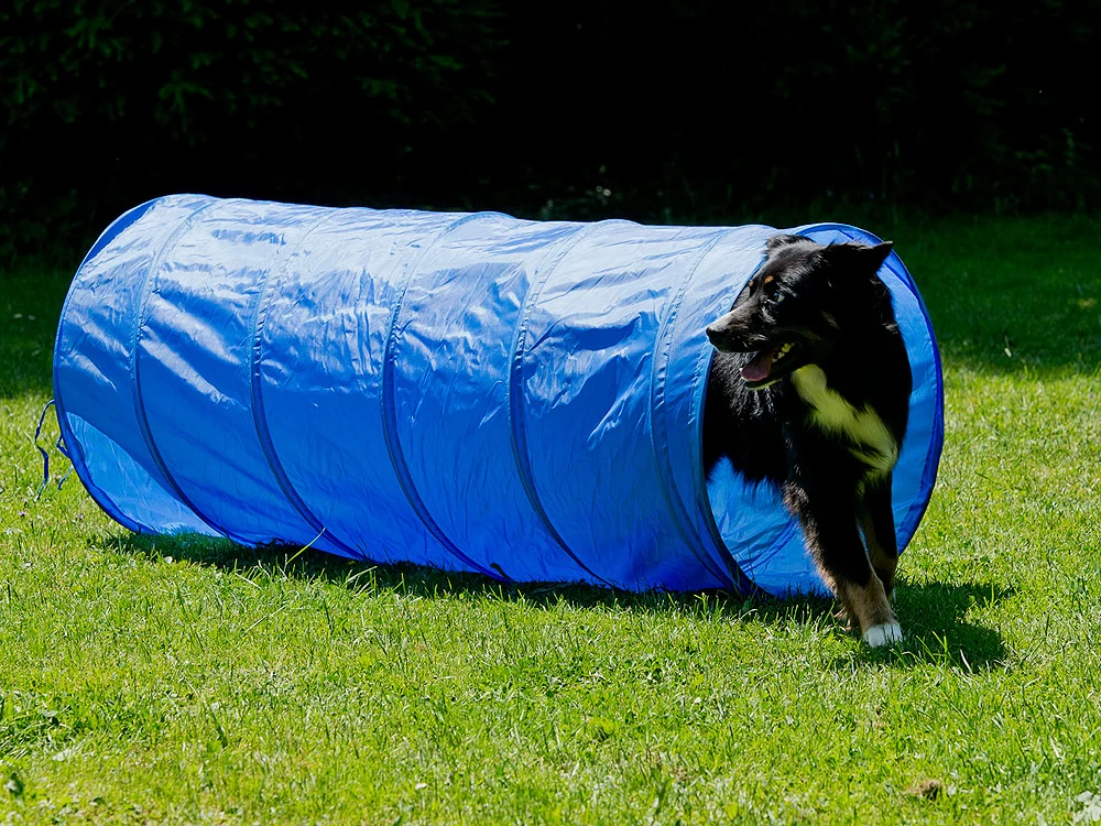 Dog Agility Tunnel 152 Cm X 60 Cm Blau – Bild 2