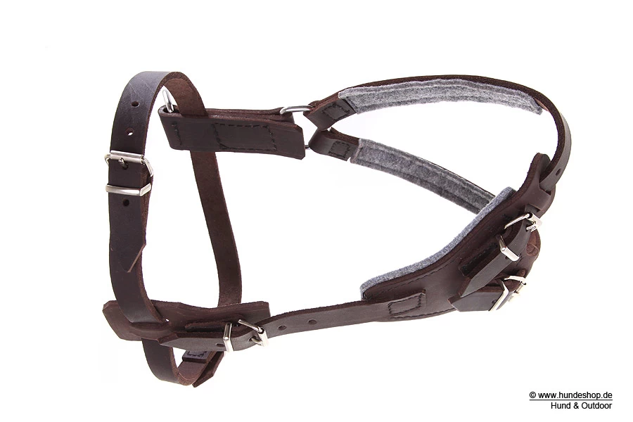 Relaxoo Fettleder Hundegeschirr Just Hundesport Edition – Bild 2