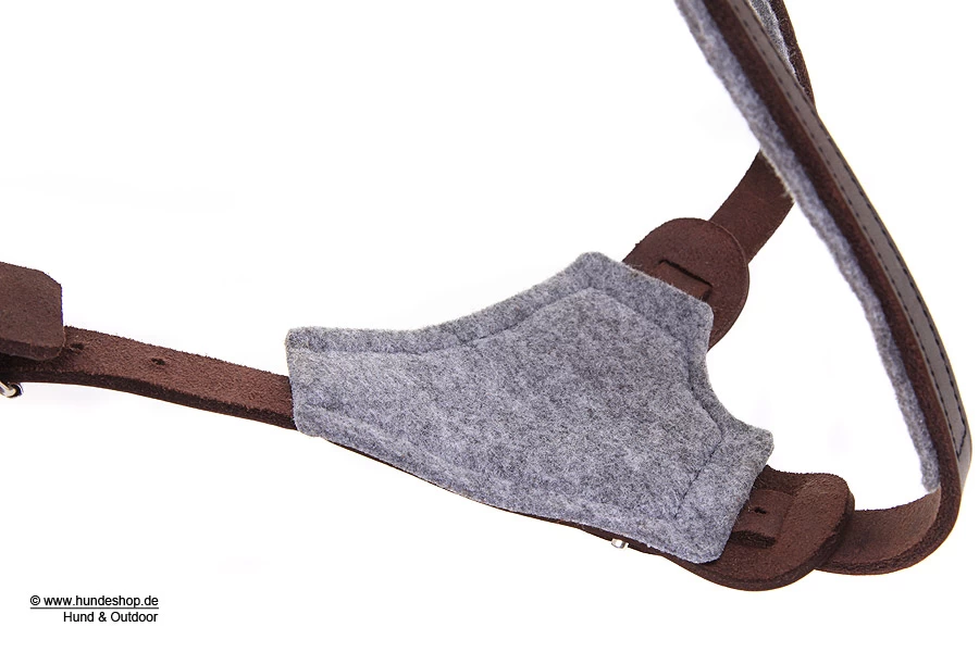 Relaxoo Fettleder Hundegeschirr Just Hundesport Edition – Bild 3