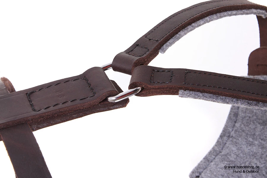 Relaxoo Fettleder Hundegeschirr Just Hundesport Edition – Bild 4