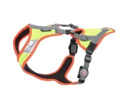 Grossenbacher Mantrailing V Hundegeschirr Neon LED