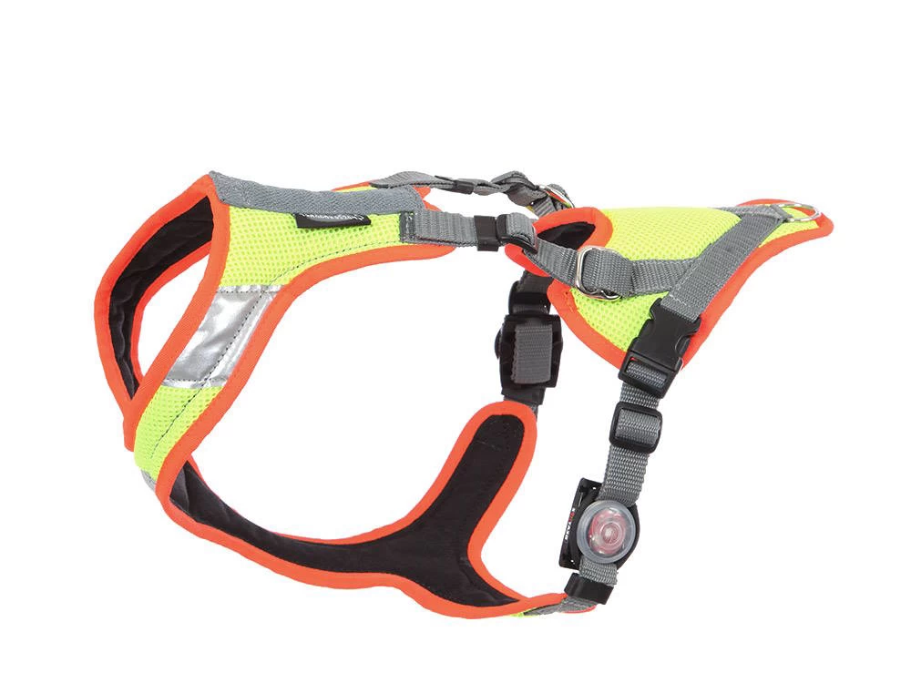Grossenbacher Mantrailing V Hundegeschirr Neon LED