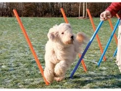 Trixie Agility Parcours 12 Stangen 115 X 3,3 Cm