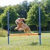 Trixie Agility Parcours Hürde, 115 X 3,3 Cm