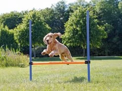 Trixie Agility Parcours Hürde, 115 X 3,3 Cm