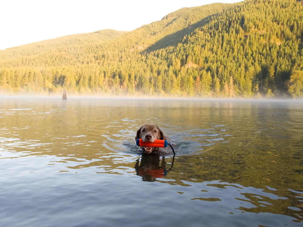 Chuckit Dummy Amphibious Bumper Medium – Bild 5