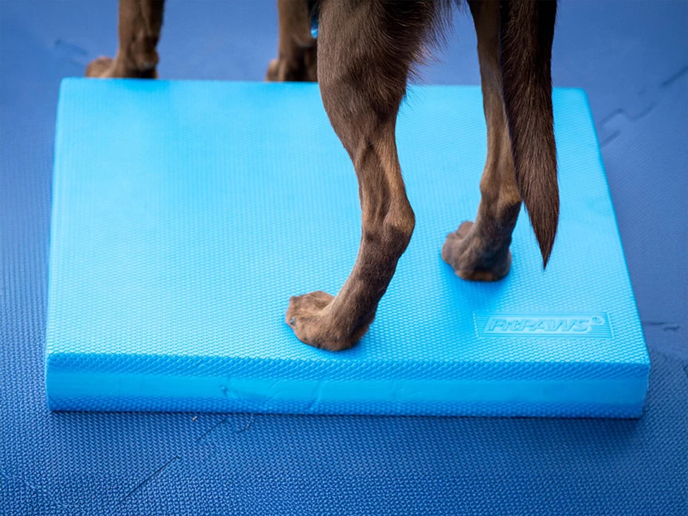 FitPAWS® Balance Pad – Bild 3
