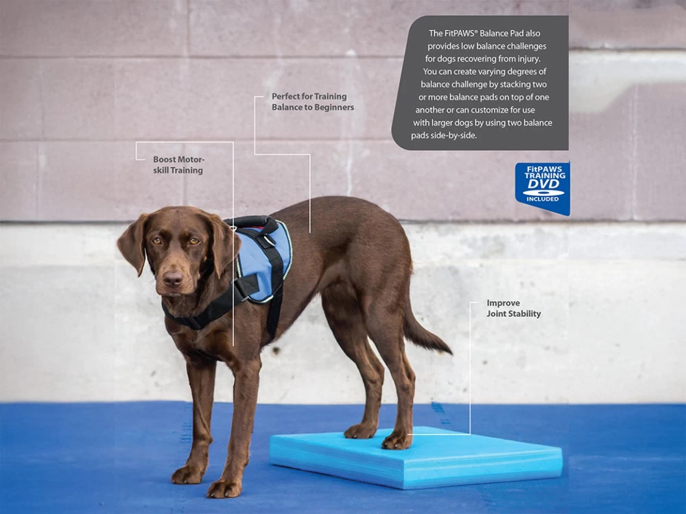 FitPAWS® Balance Pad – Bild 5