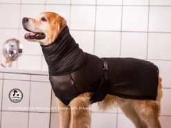 Styling Cape Für Ausstellungen