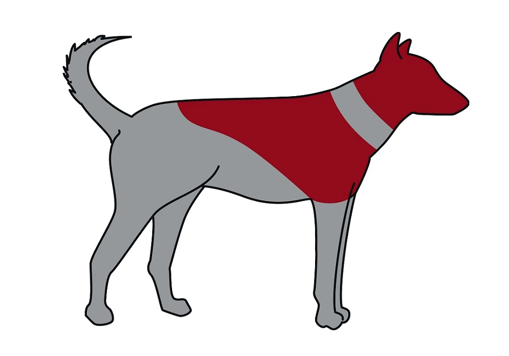 Trixie Schutzkragen Aufblasbare Halskrause Für Hunde – Bild 4