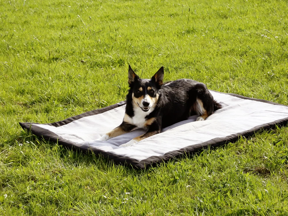 Hundedecke Trip – Bild 5