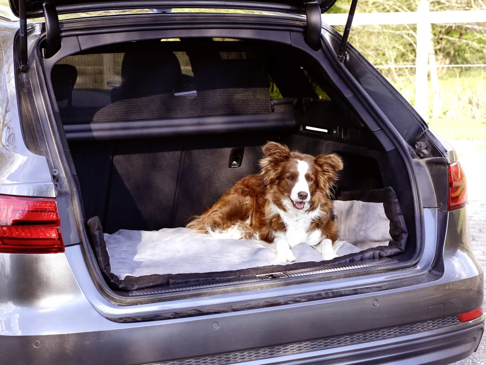 Hundedecke Trip – Bild 6