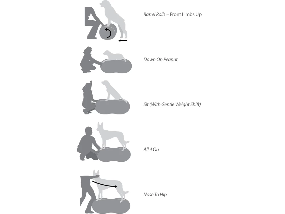 FitPAWS® Peanut Trax Rot 50 Cm – Bild 5