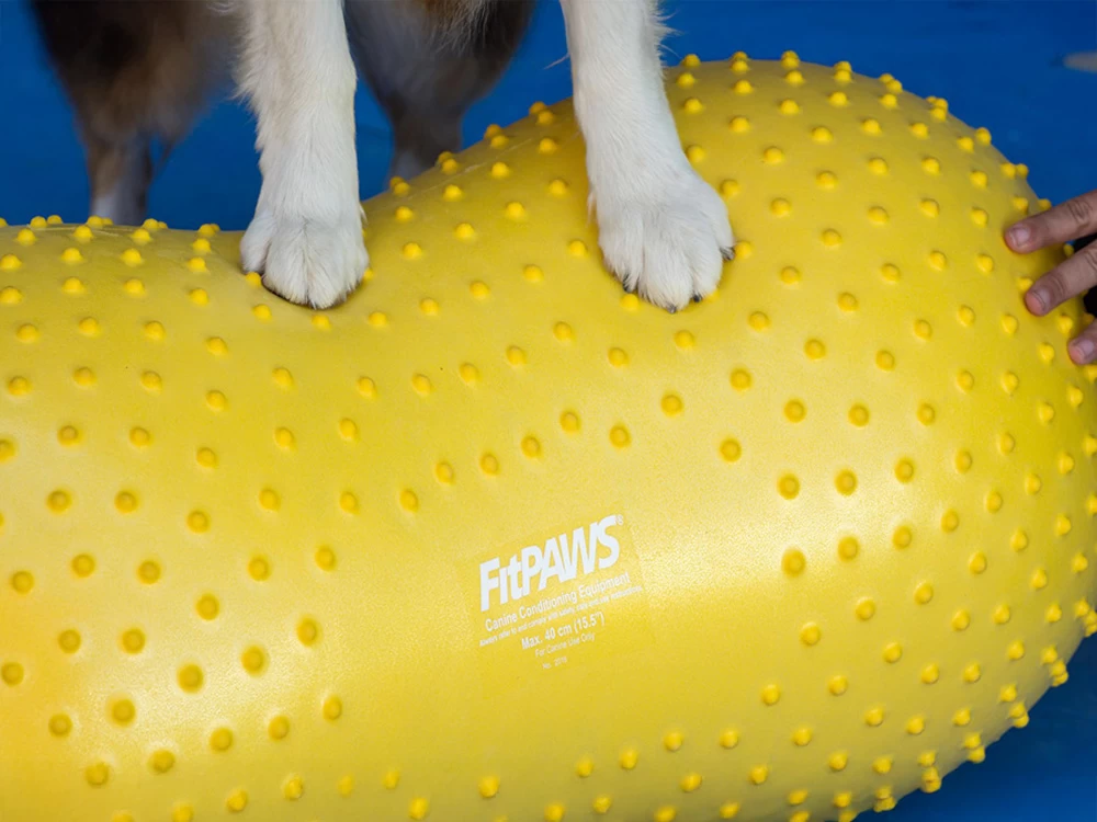 FitPAWS® Peanut Trax Rot 50 Cm – Bild 3