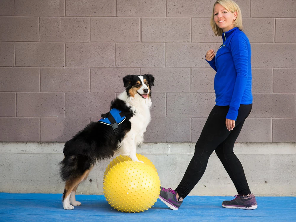 FitPAWS® Peanut Trax Rot 50 Cm – Bild 4