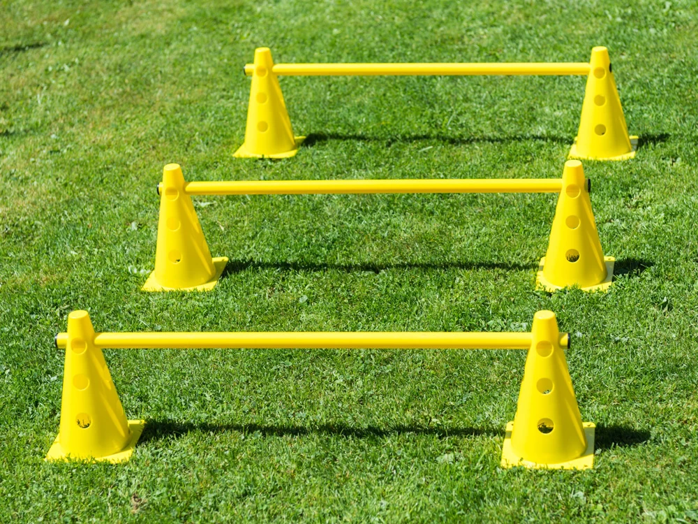 Dog Agility Pylonenhürde Kegelhürde 23 Cm Gelb – Bild 2