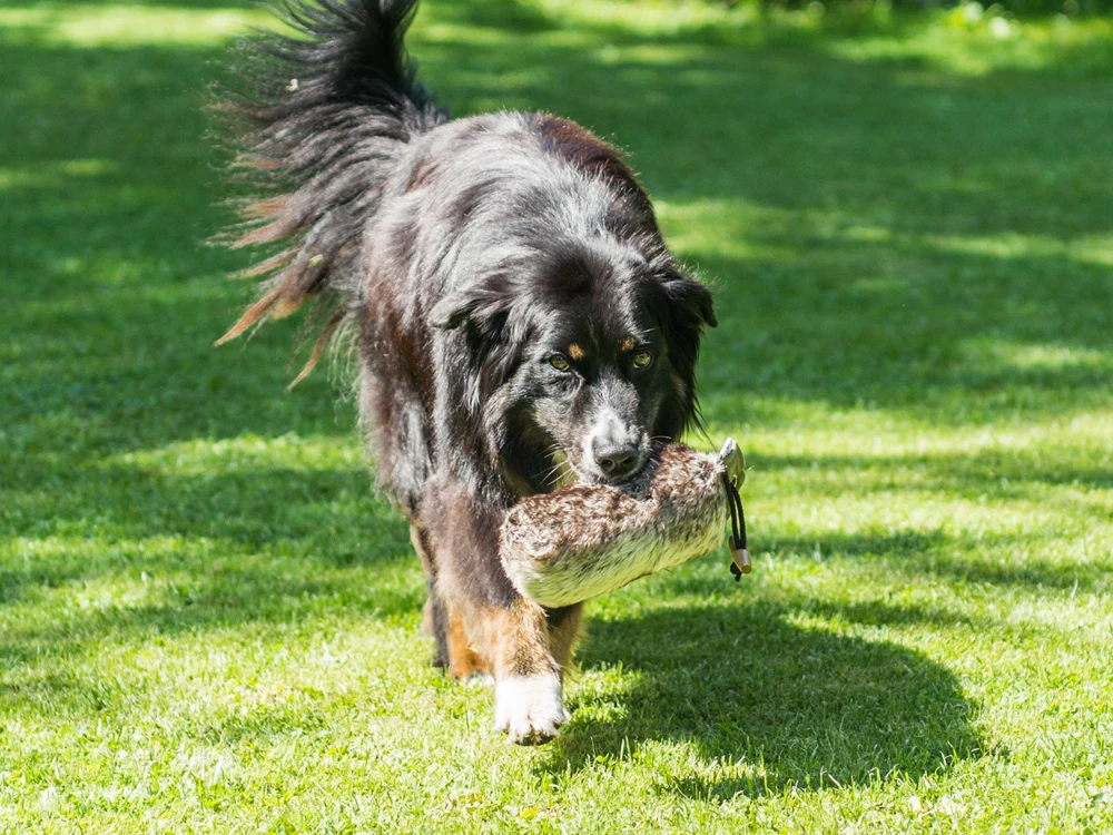 Fell Dummy Mit Wurfhilfe â Bild 2