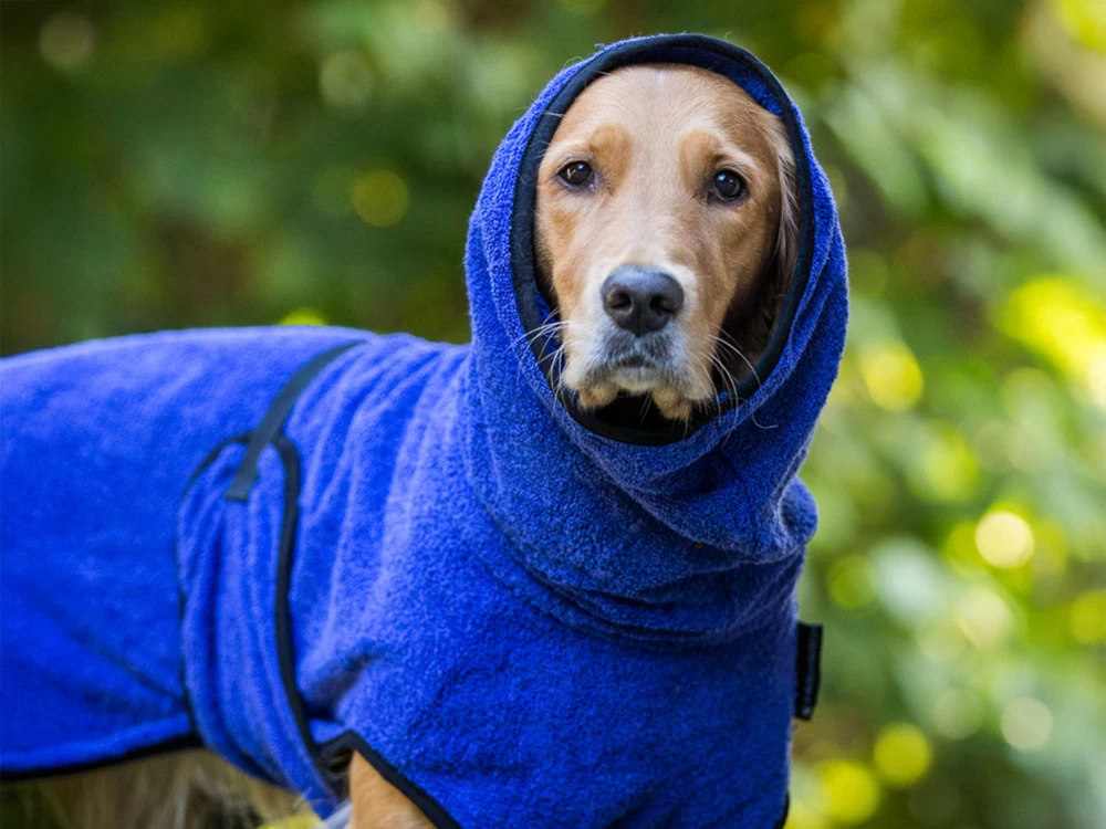 Dryup Cape Hundebademantel Blueberry – Bild 2