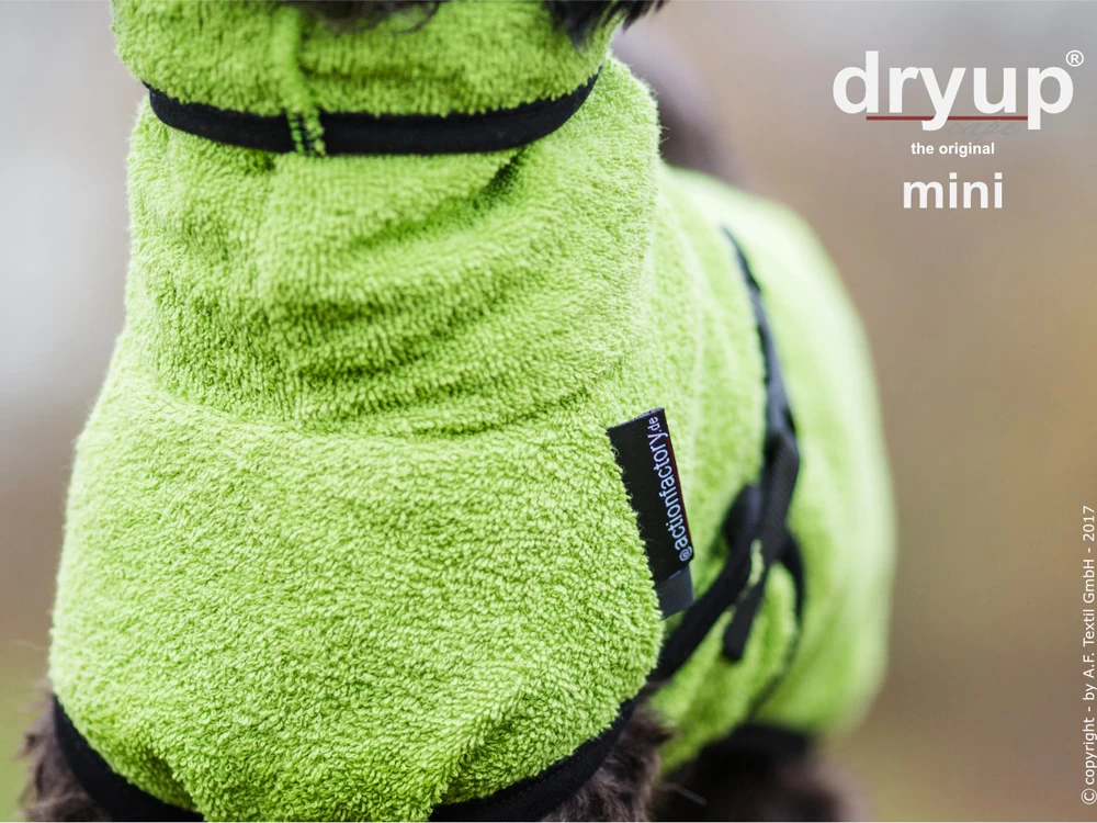 Dryup Cape Hundebademantel Mini Kiwi – Bild 3