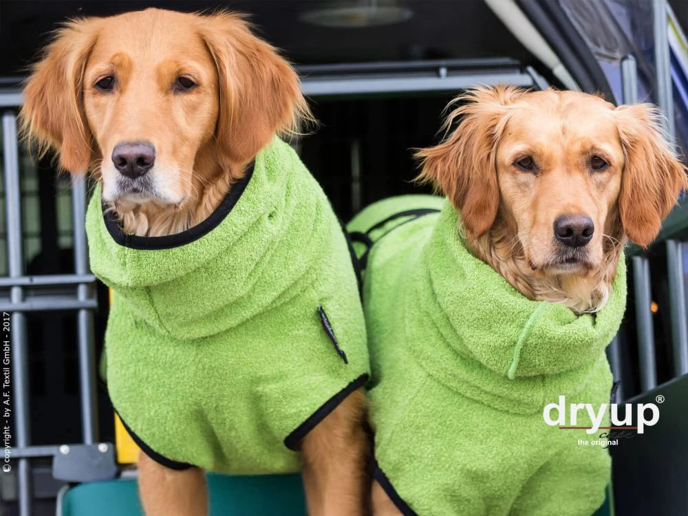 Dryup Cape Hundebademantel Kiwi – Bild 3