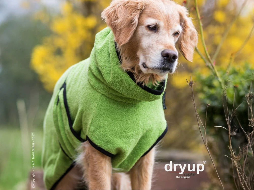 Dryup Cape Hundebademantel Kiwi – Bild 4