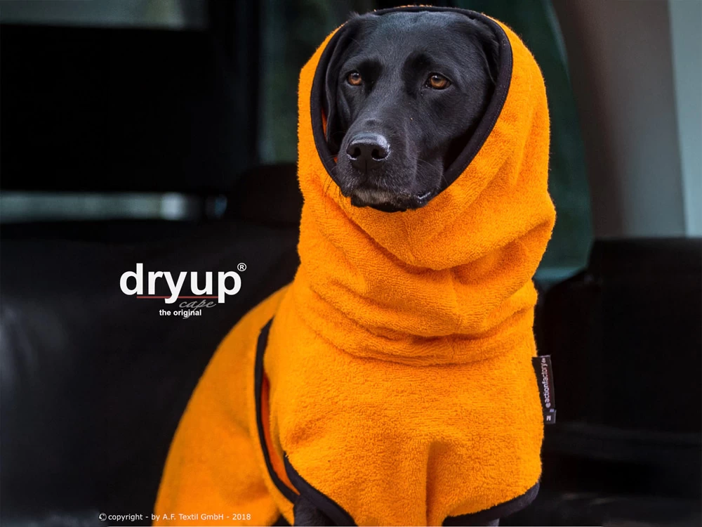 Dryup Cape Hundebademantel Clementine – Bild 2
