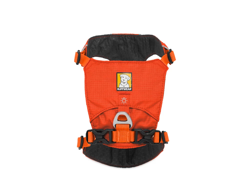 Ruffwear Hi & Light™ Hundegeschirr Sockeye Red – Bild 2