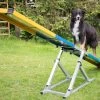 Hunde Profi Agility Turnier Wippe FCI Konform