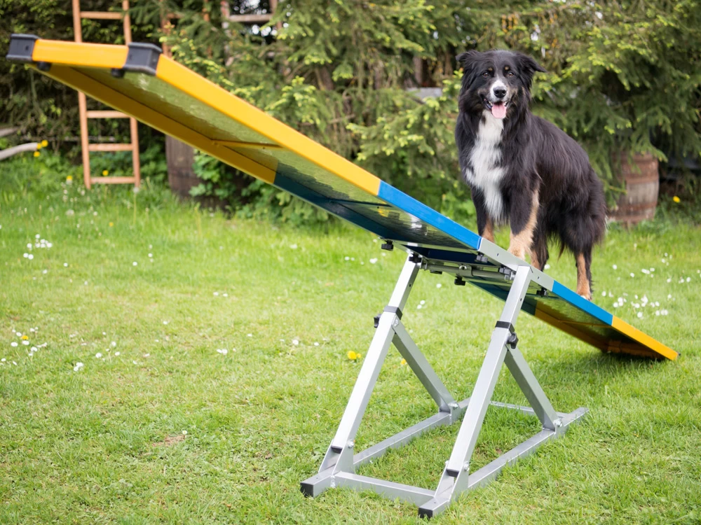 Hunde Profi Agility Turnier Wippe FCI Konform