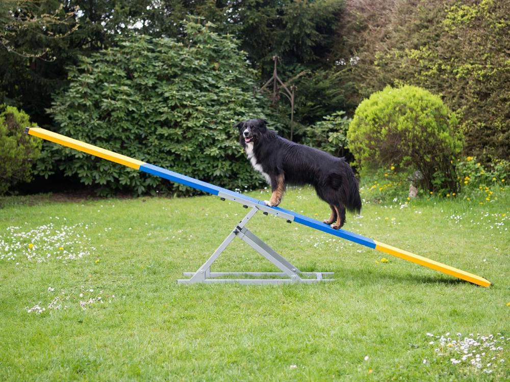 Hunde Profi Agility Turnier Wippe FCI Konform – Bild 2